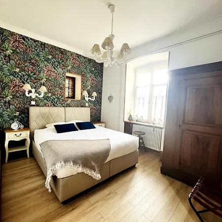 Schmoutzi & Schatzi - Au Coeur De La Ville Colmar Extérieur photo
