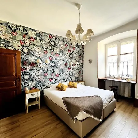 Schmoutzi & Schatzi - Au Coeur De La Ville Colmar Extérieur photo